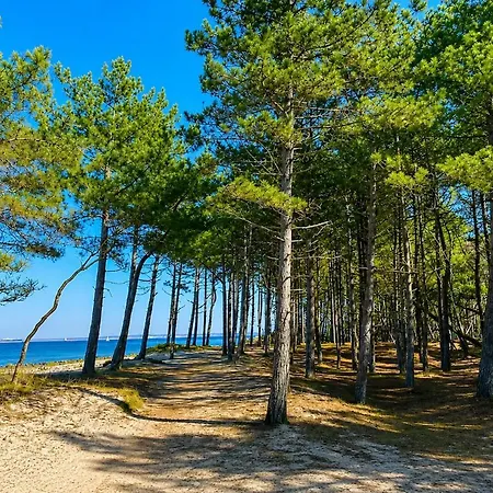 - 5 Bedroom - 650m - Forest 200m - Private & Garden *